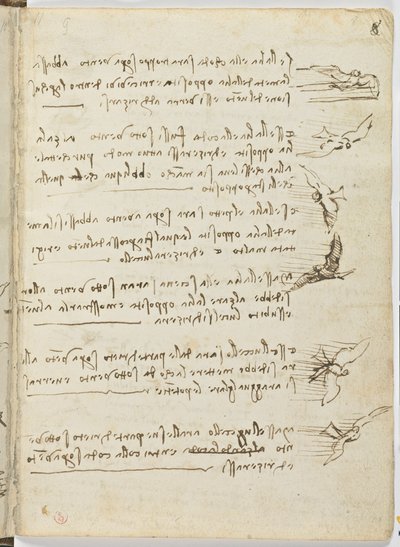 Birds Flight Code, Sheet 8 Recto by Leonardo da Vinci